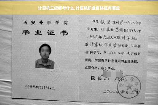 计算机三级都考什么,计算机职业资格证有哪些