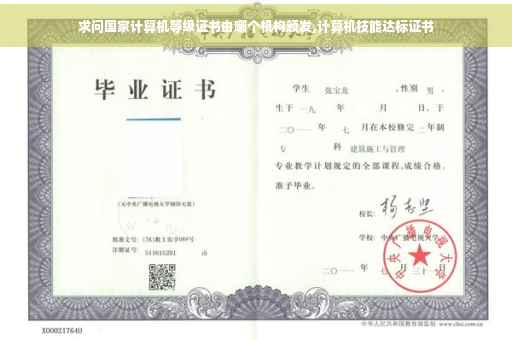 求问国家计算机等级证书由哪个机构颁发,计算机技能达标证书