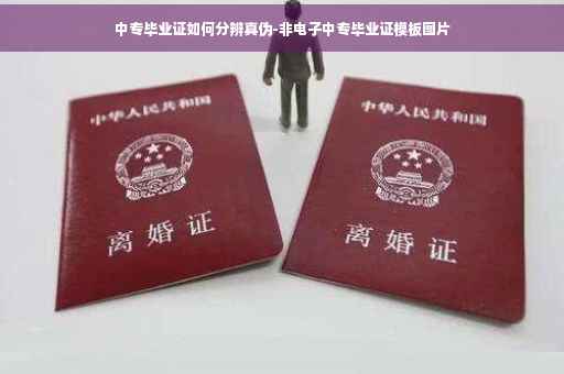 中专毕业证如何分辨真伪-非电子中专毕业证模板图片