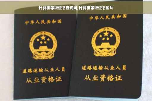 计算机等级证书查询网,计算机等级证书图片