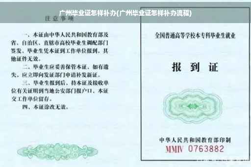 广州毕业证怎样补办(广州毕业证怎样补办流程)