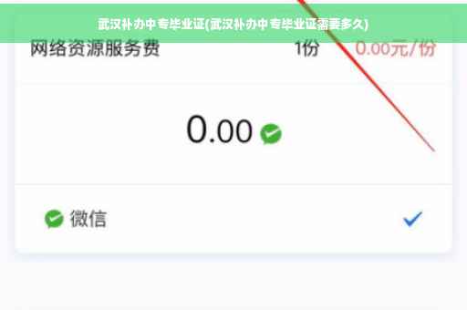 武汉补办中专毕业证(武汉补办中专毕业证需要多久)