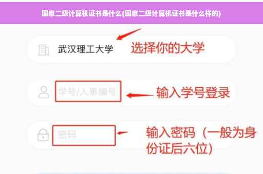 国家二级计算机证书是什么(国家二级计算机证书是什么样的)