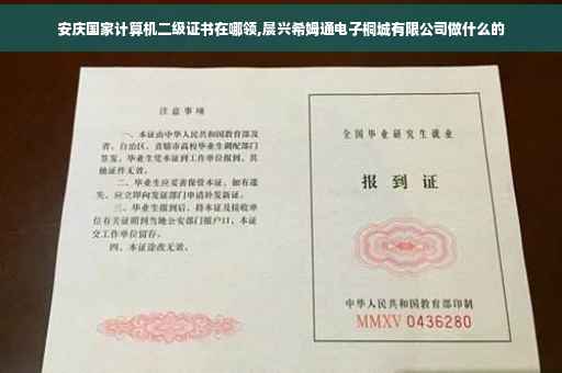 安庆国家计算机二级证书在哪领,晨兴希姆通电子桐城有限公司做什么的