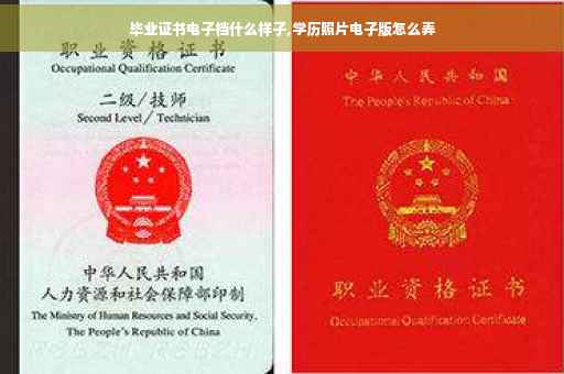 毕业证书电子档什么样子,学历照片电子版怎么弄