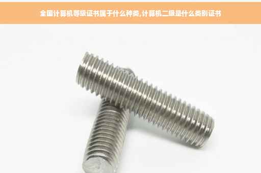 全国计算机等级证书属于什么种类,计算机二级是什么类别证书