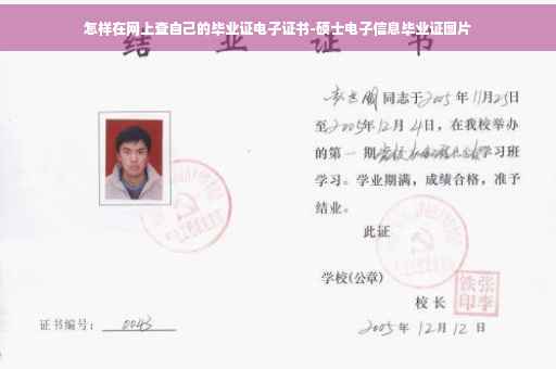 怎样在网上查自己的毕业证电子证书-硕士电子信息毕业证图片