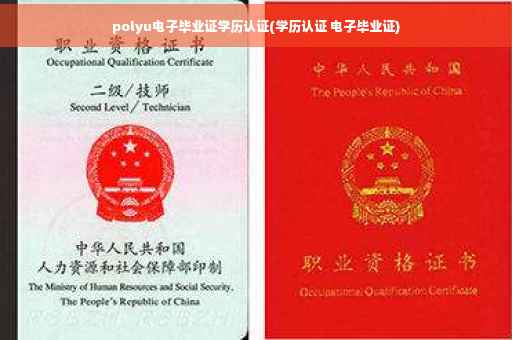 polyu电子毕业证学历认证(学历认证 电子毕业证)