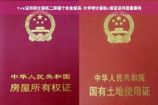1+x证书和计算机二级哪个含金量高-大学考计算机c语言证书很重要吗