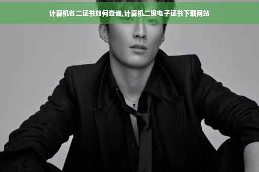 计算机省二证书如何查询,计算机二级电子证书下载网站