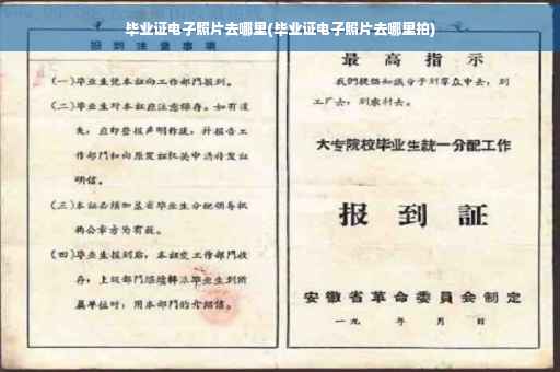 毕业证电子照片去哪里(毕业证电子照片去哪里拍)