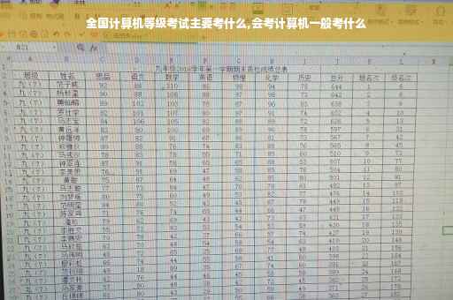 全国计算机等级考试主要考什么,会考计算机一般考什么