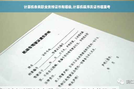 计算机各类职业资格证书有哪些,计算机程序员证书哪里考