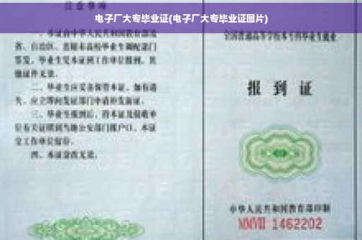 电子厂大专毕业证(电子厂大专毕业证图片)