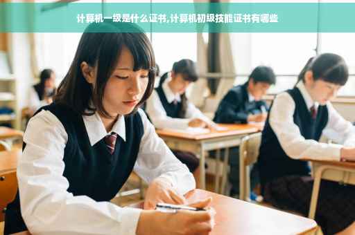 计算机一级是什么证书,计算机初级技能证书有哪些