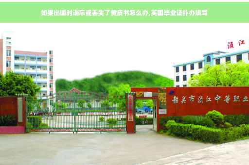 如果出国时遗忘或丢失了黄皮书怎么办,英国毕业证补办填写