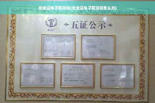 毕业证电子照没拍(毕业证电子照没拍怎么办)