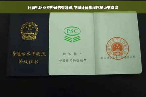 计算机职业资格证书有哪些,中国计算机程序员证书查询