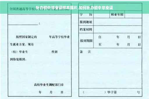 补办初中毕业证样本图片,如何补办初中毕业证