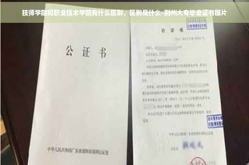 技师学院和职业技术学院有什么区别，区别是什么-荆州大专毕业证书图片