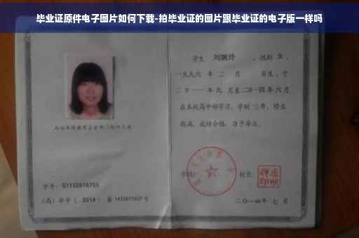 毕业证原件电子图片如何下载-拍毕业证的图片跟毕业证的电子版一样吗