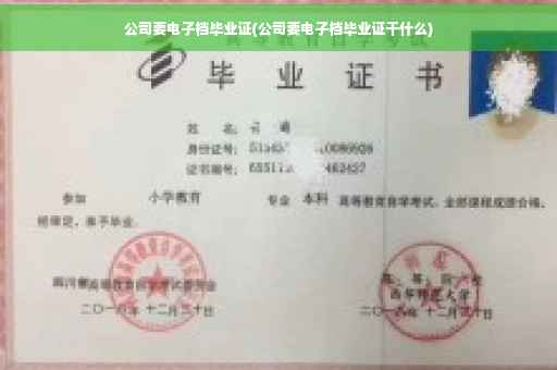 公司要电子档毕业证(公司要电子档毕业证干什么) 公司要电子档毕业证(公司要电子档毕业证干什么)