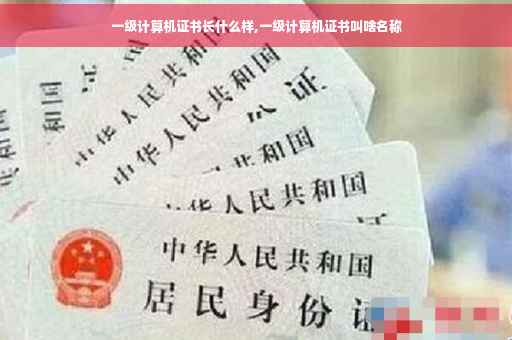 一级计算机证书长什么样,一级计算机证书叫啥名称