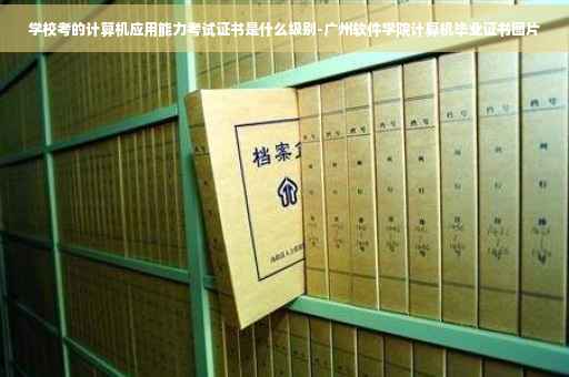 学校考的计算机应用能力考试证书是什么级别-广州软件学院计算机毕业证书图片