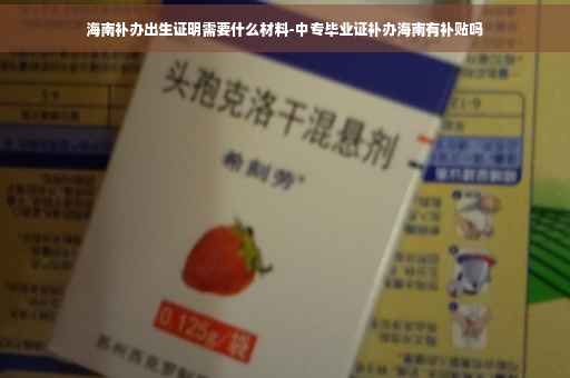 海南补办出生证明需要什么材料-中专毕业证补办海南有补贴吗