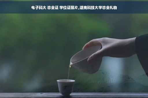 电子科大 毕业证 学位证图片,湖南科技大学毕业礼物