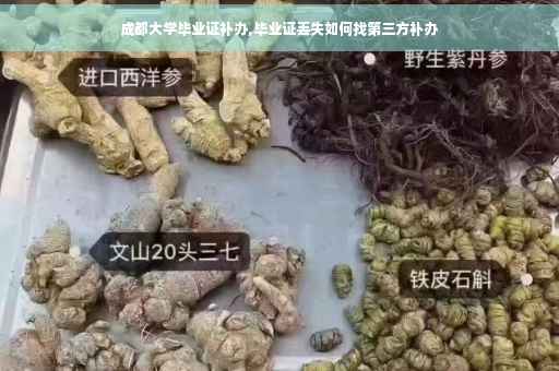 成都大学毕业证补办,毕业证丢失如何找第三方补办