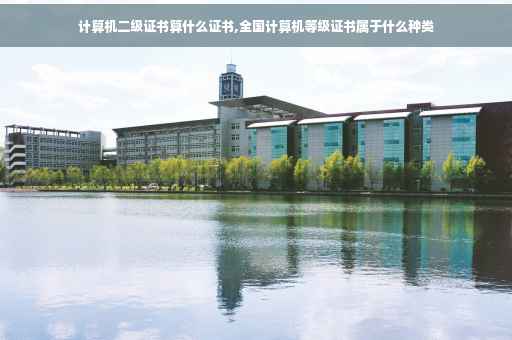 计算机二级证书算什么证书,全国计算机等级证书属于什么种类