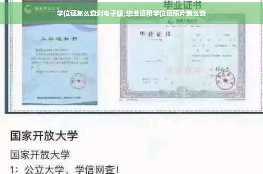 学位证怎么查到电子版,毕业证和学位证照片怎么查