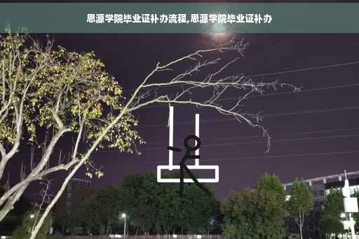思源学院毕业证补办流程,思源学院毕业证补办