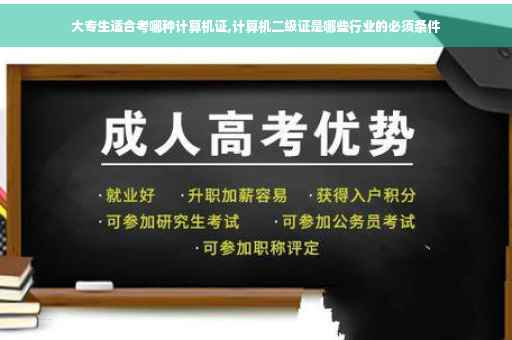 大专生适合考哪种计算机证,计算机二级证是哪些行业的必须条件
