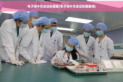 电子高中毕业证在哪查(电子高中毕业证在哪查询)