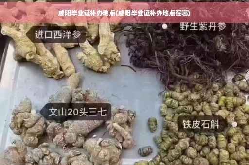 咸阳毕业证补办地点(咸阳毕业证补办地点在哪)