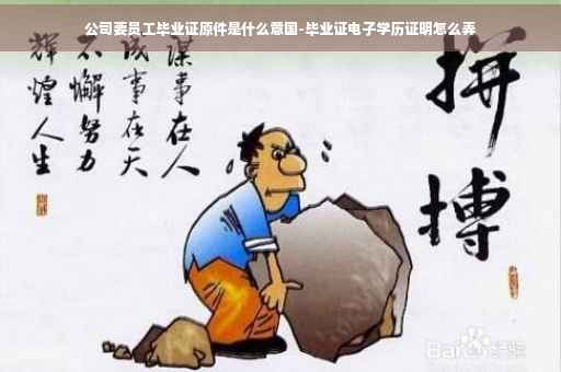 公司要员工毕业证原件是什么意国-毕业证电子学历证明怎么弄