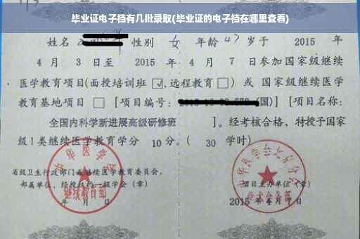 毕业证电子档有几批录取(毕业证的电子档在哪里查看)