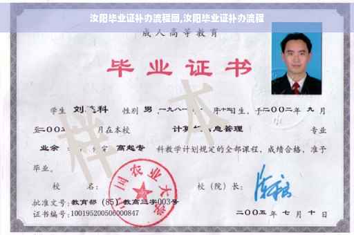 汝阳毕业证补办流程图,汝阳毕业证补办流程