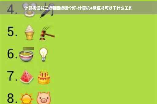 计算机证书二级和四级哪个好-计算机4级证书可以干什么工作