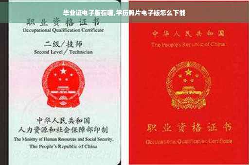 毕业证电子版在哪,学历照片电子版怎么下载