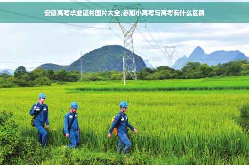 安徽高考毕业证书图片大全,参加小高考与高考有什么区别