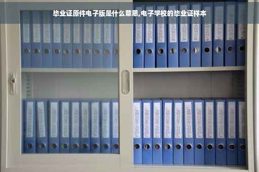 毕业证原件电子版是什么意思,电子学校的毕业证样本
