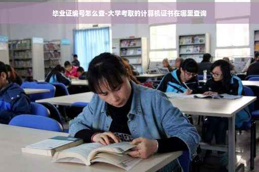 毕业证编号怎么查-大学考取的计算机证书在哪里查询