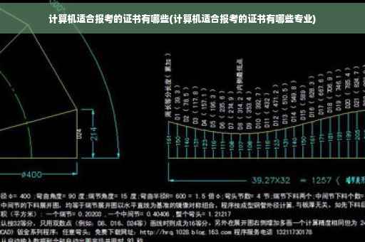 计算机适合报考的证书有哪些(计算机适合报考的证书有哪些专业)