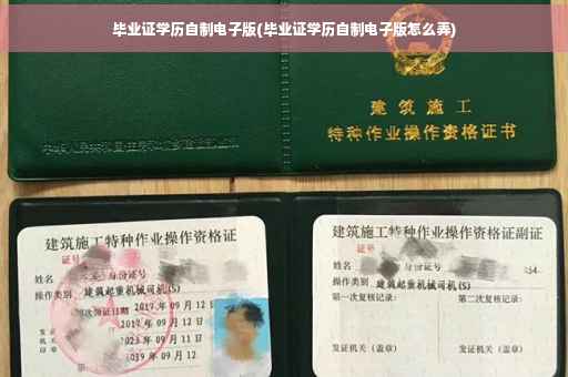 毕业证学历自制电子版(毕业证学历自制电子版怎么弄)