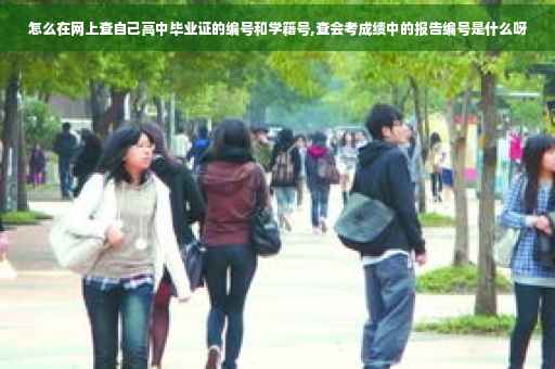 怎么在网上查自己高中毕业证的编号和学籍号,查会考成绩中的报告编号是什么呀