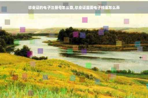 毕业证的电子注册号怎么查,毕业证需要电子档案怎么弄
