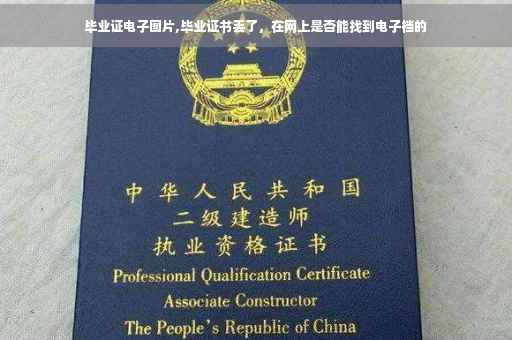 毕业证电子图片,毕业证书丢了，在网上是否能找到电子档的